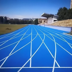 Blue Sports Track Blue Sports Track