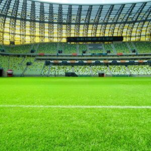 Football Grass Football Grass