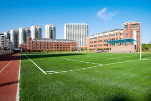 Artificial Grass